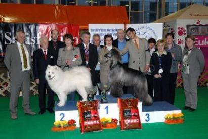 Celje 2009 - BIS