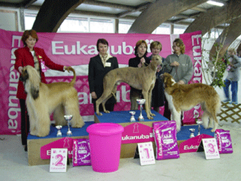 CAC Grosuplje 2004