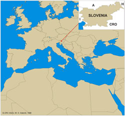 SLovenian Map