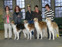 Sighthound Specialty Show - Sweden