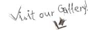 Visit our Gallery!